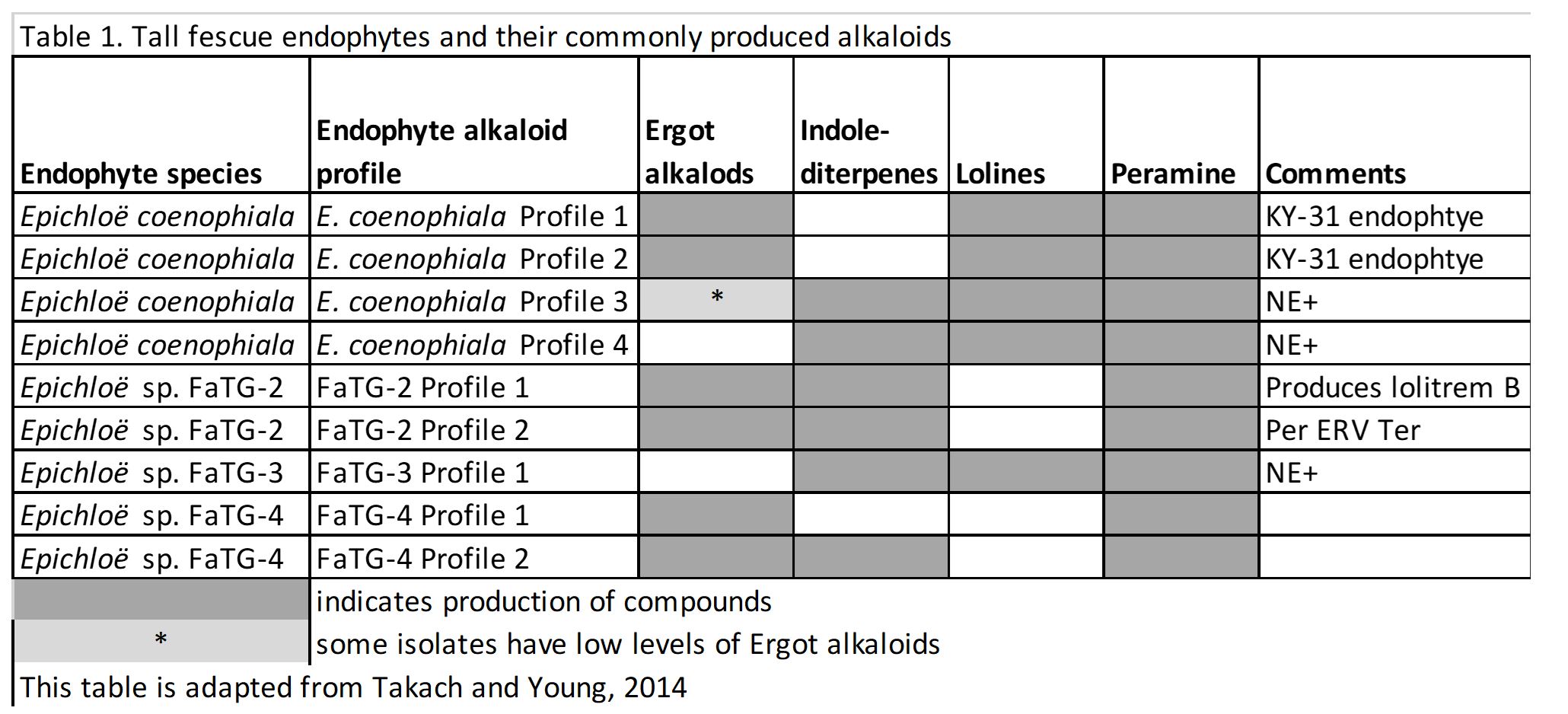 Understanding Endophytes: The history and morphology of endophytes and ...